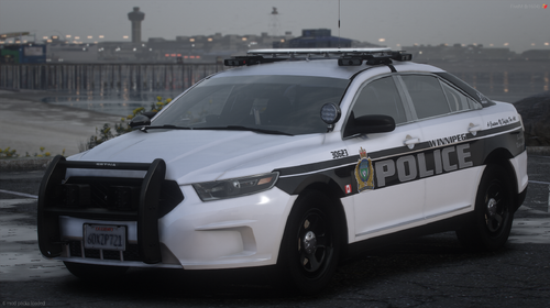 More information about "Winnipeg PD Based Texture Mini-Pack"